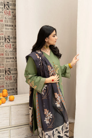HABIBA – Luxury Embroidered 3-Piece in DHANAK